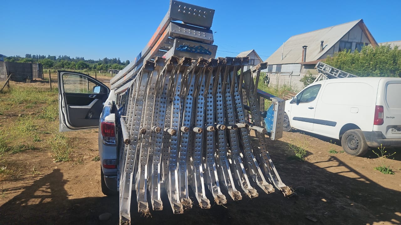 Cosecha con Escaleras Profesionales